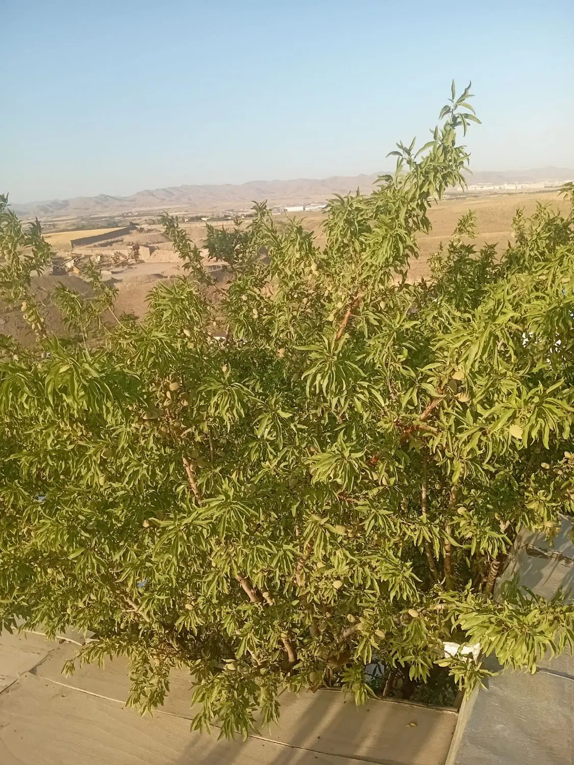 باغشهر