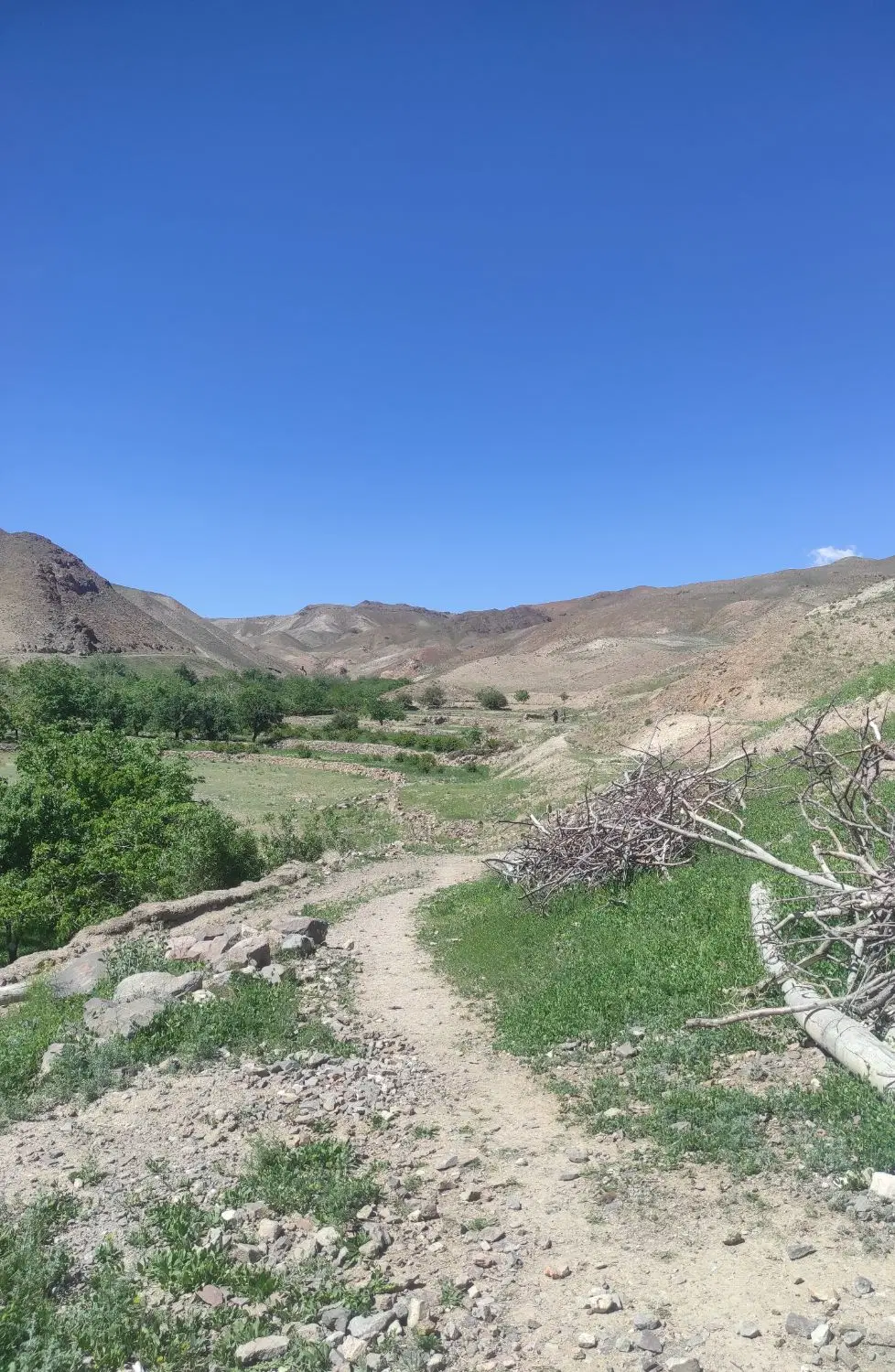 یه زمین مسکونی چهار فرزنی شرکراب