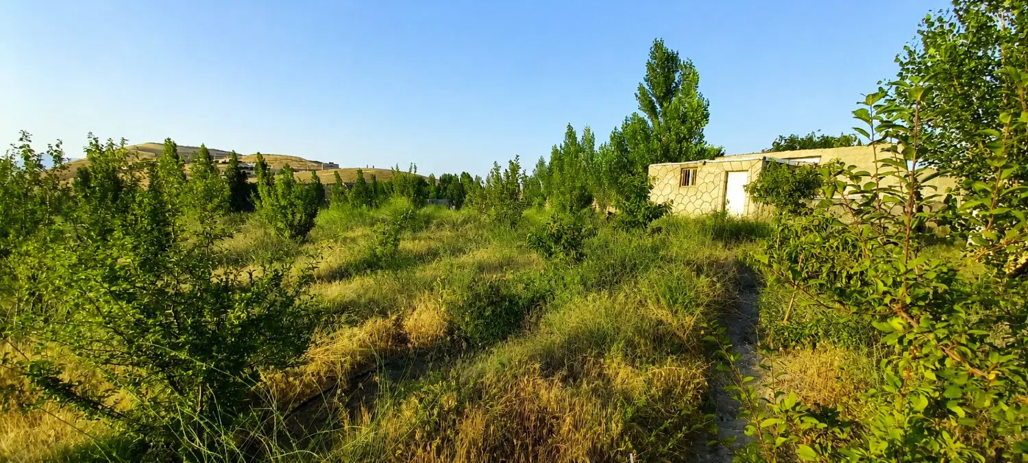 باغ ۷۰۰ متر در چاوان