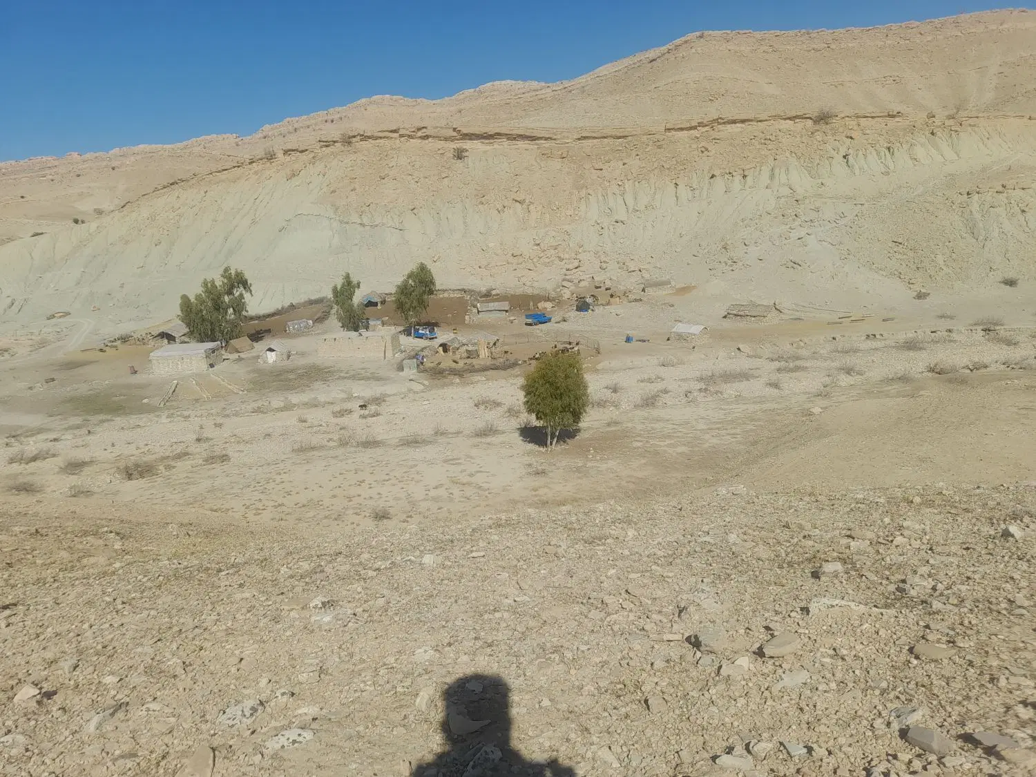 نهضت ملی