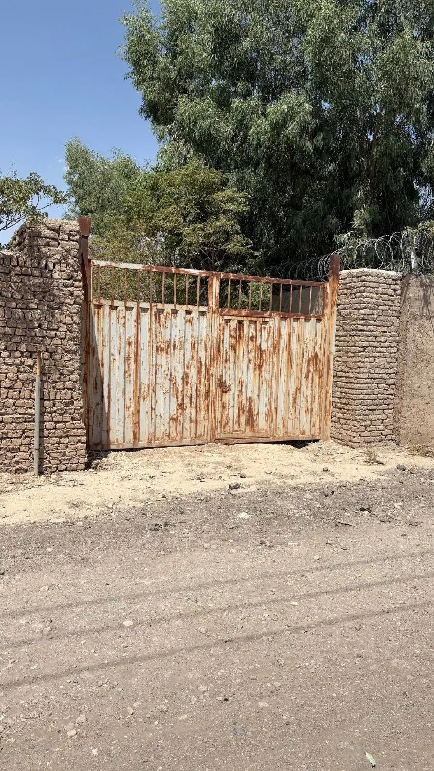 زمین