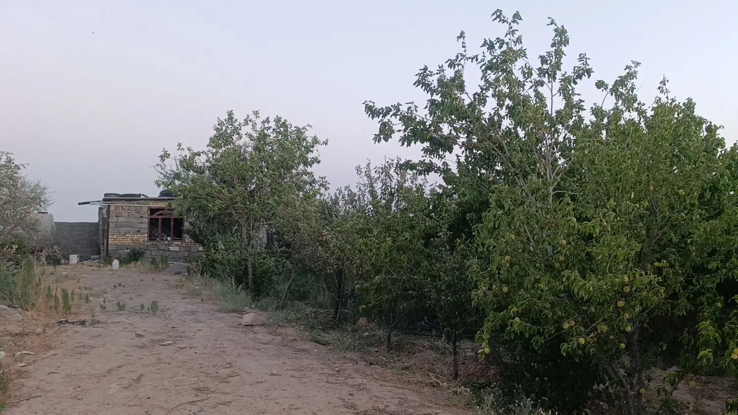 زمین باغ ویلای گوارشک روستا بررگ
