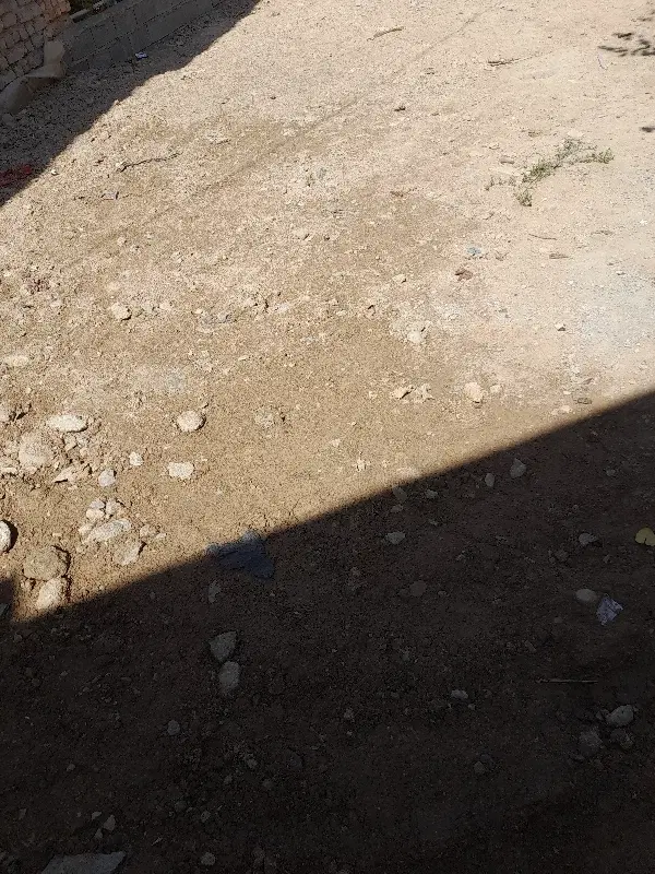 زمین مسکونی