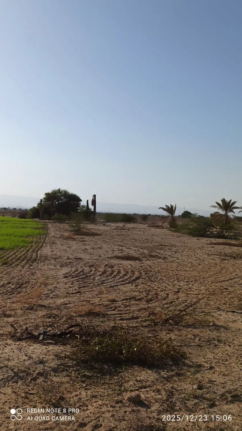 زمین گشاورزی خورموج