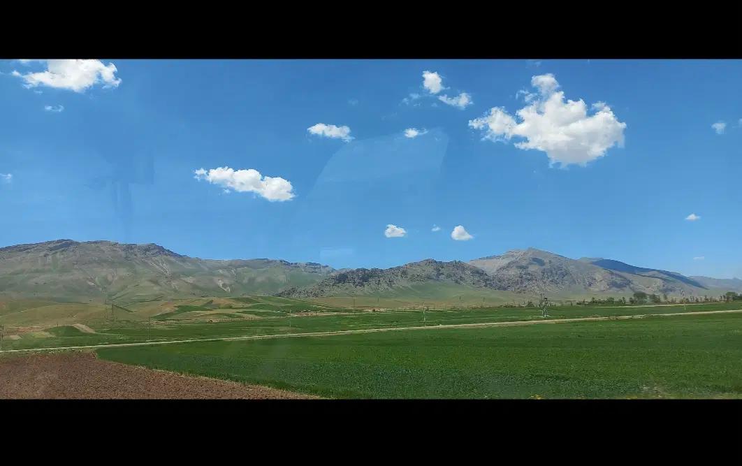 باغ میوه