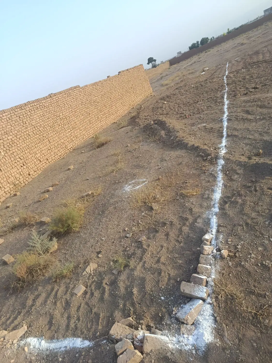 زمین کلنگی