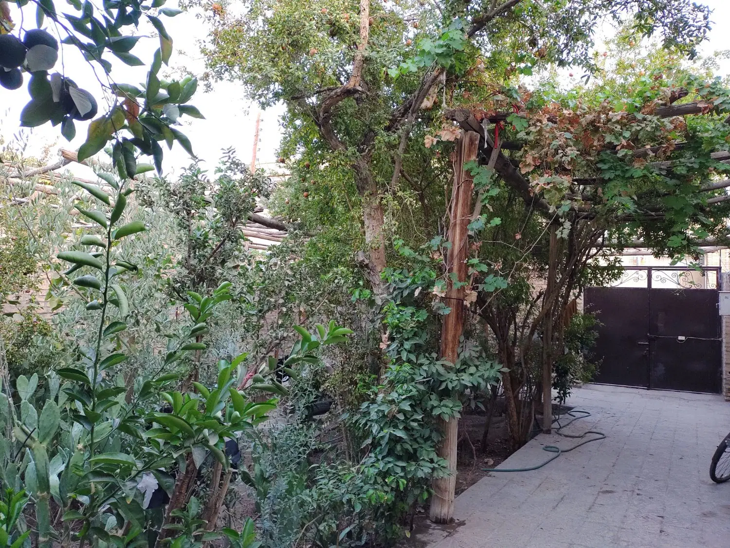 منزل حیاط دار دلباز و بزرگ