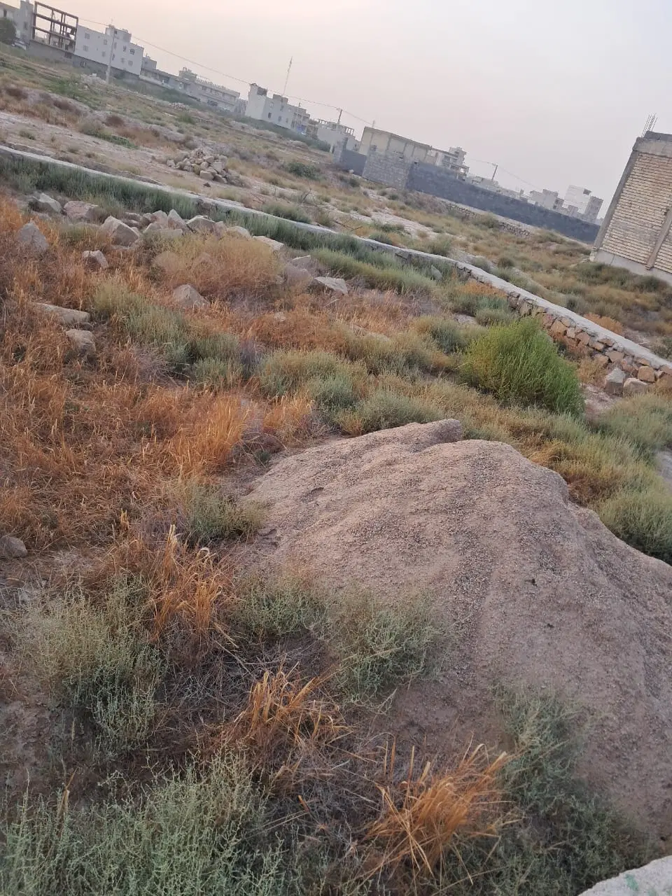 فروش زمین