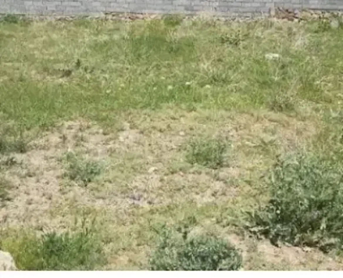 یک هکتار زمین بندسراجی