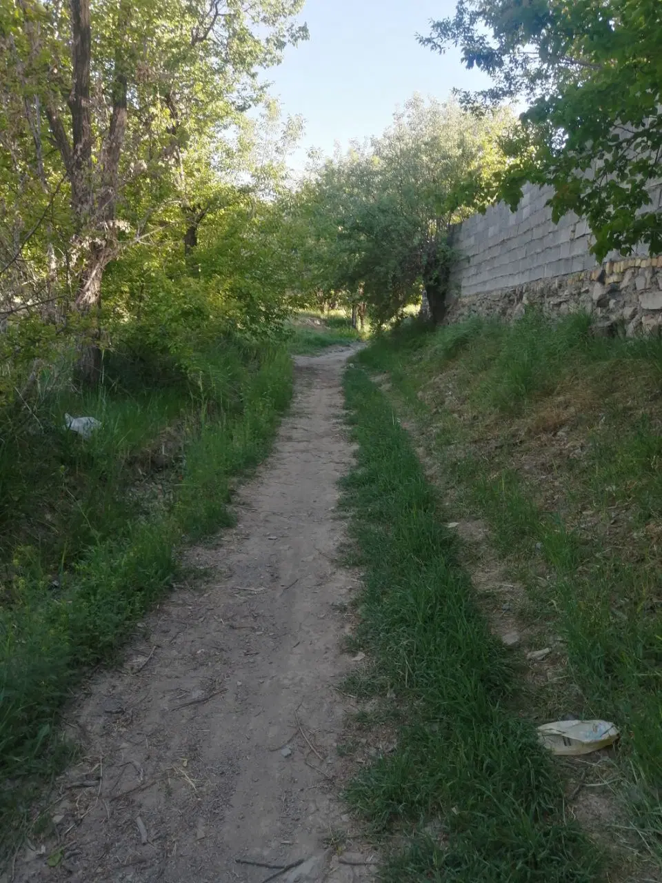 زمین کرهرود سندشش دانگ