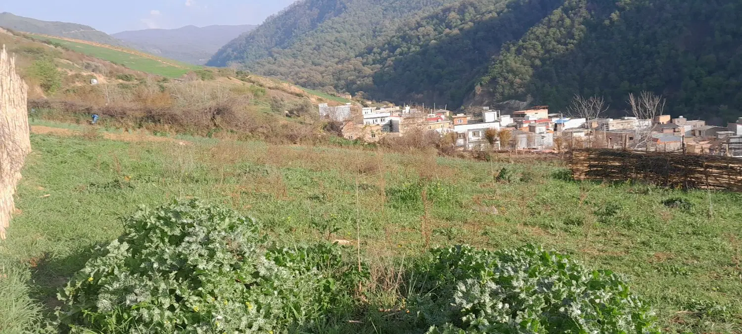 فروشی فوری
