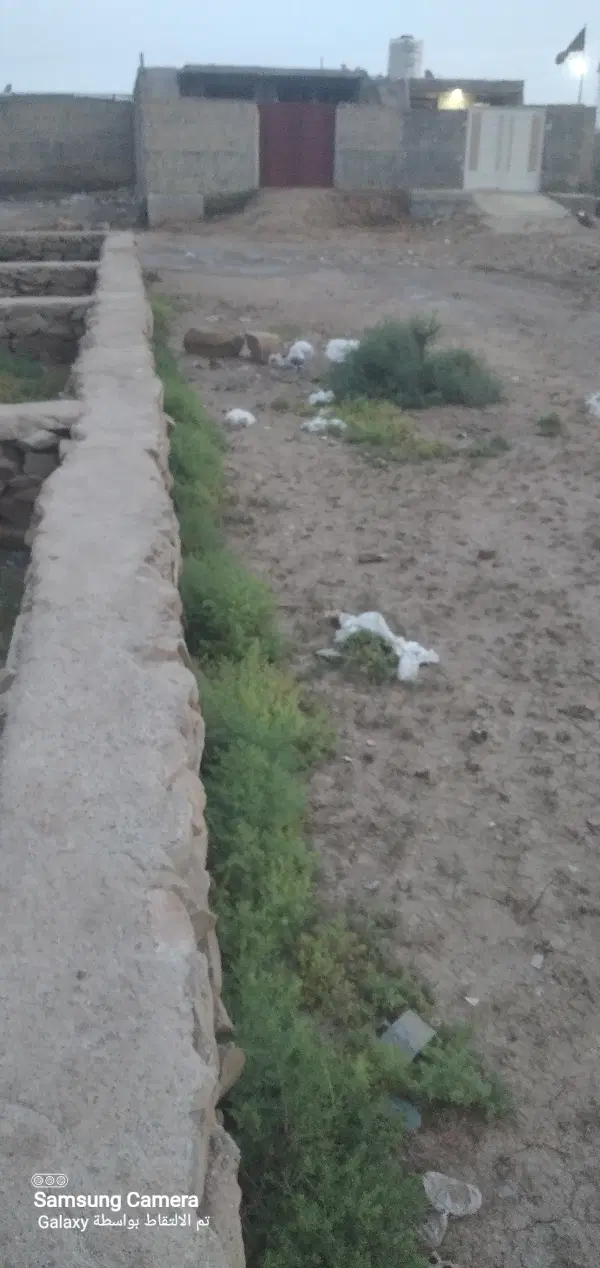 زمین در عین دو