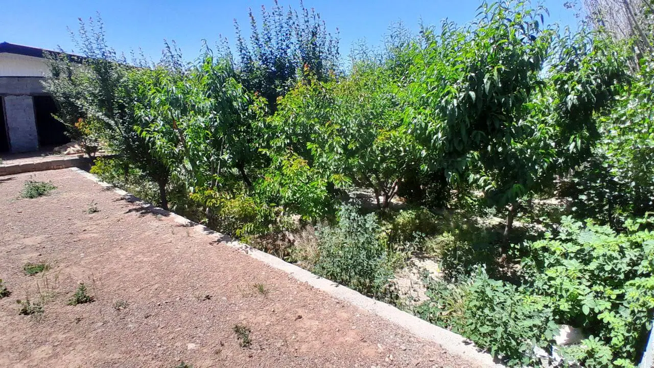 فروش باغ و باغچه