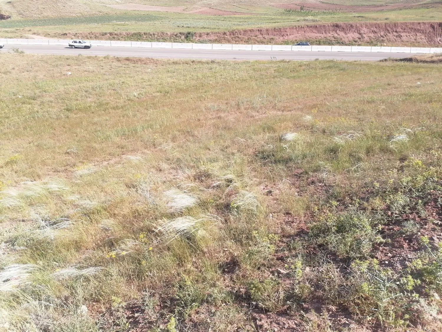 زمین ویلایی در روستای زیبای سرند