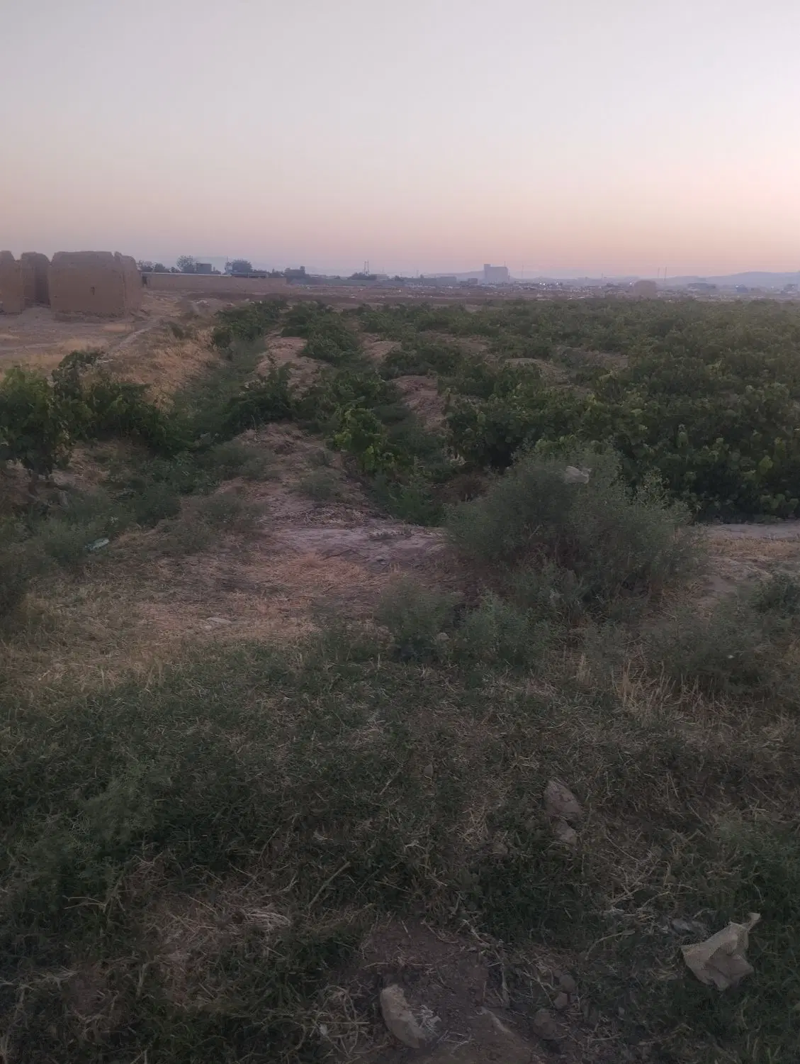 زمین باغ ویلایی