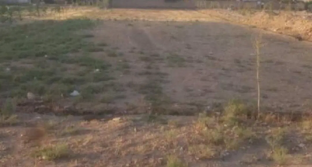 زمین مسکونی سرسرباز