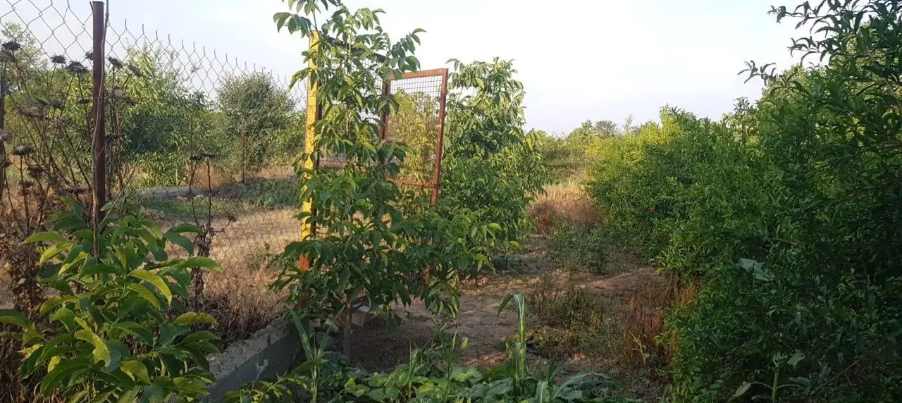 فروش زمین 250 متری