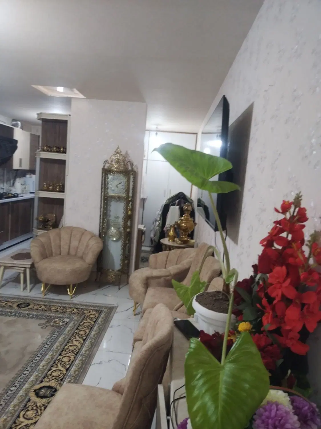 حیاط لوکس باغمعروف (املاک آیکان)