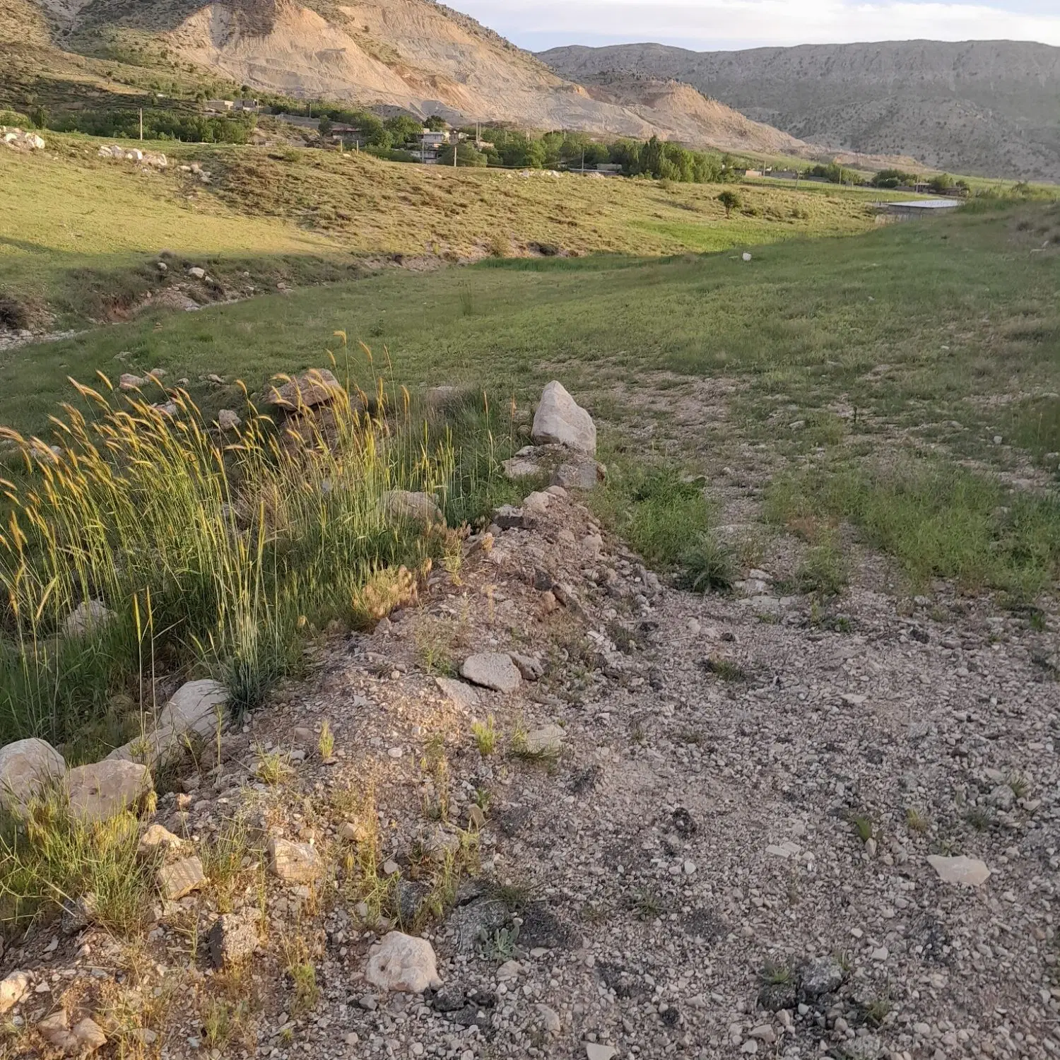 فروش زمین دشتروم روستای چالبنیو