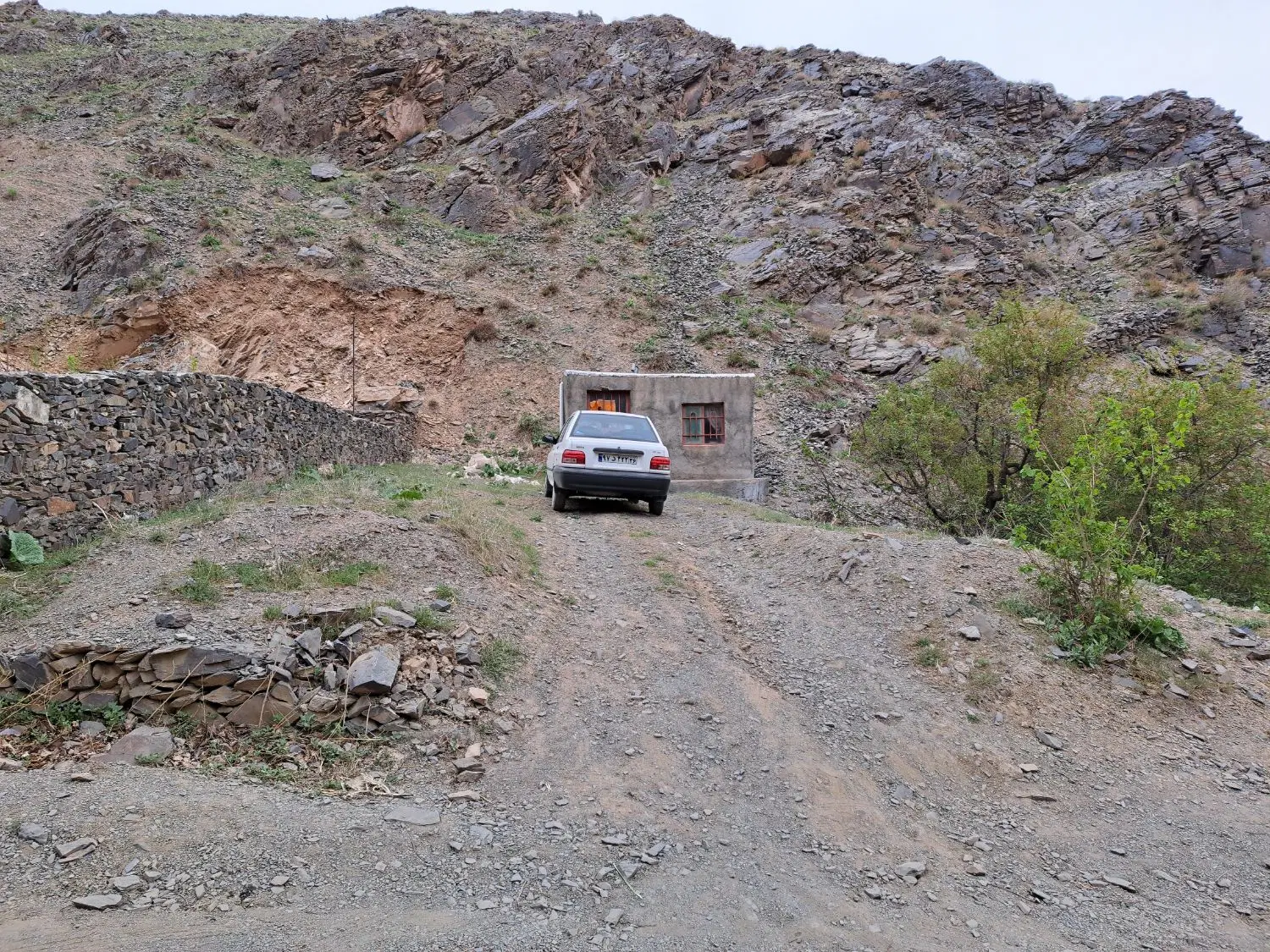 زمین در زشک ۵