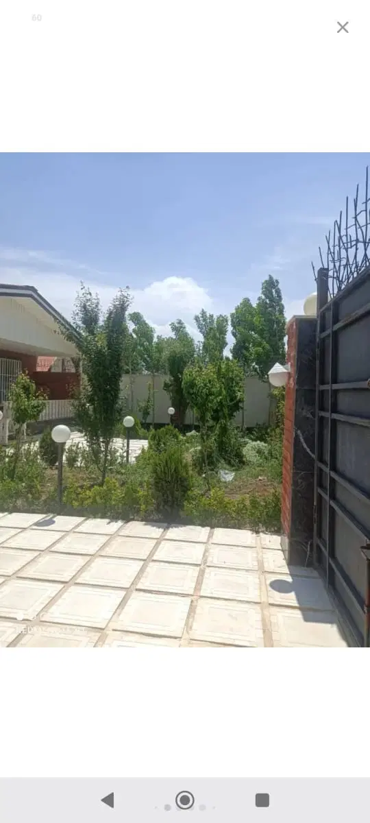 همخونه هم خونه