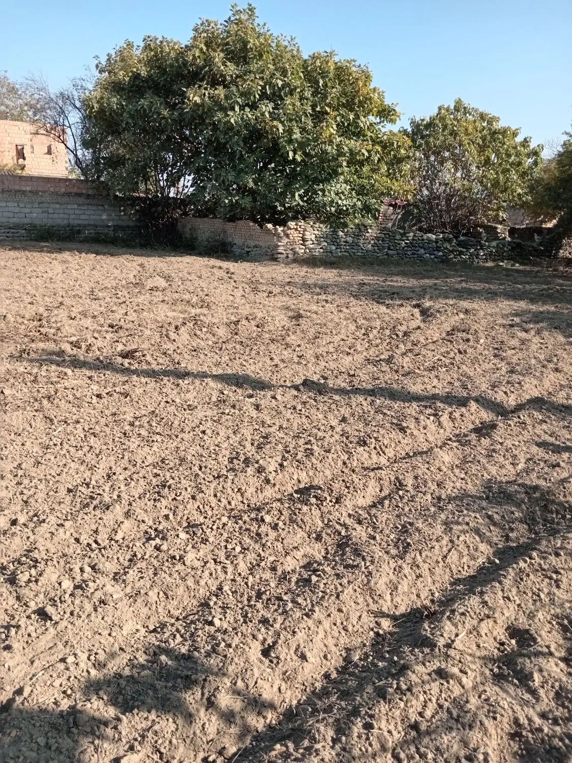 زمین