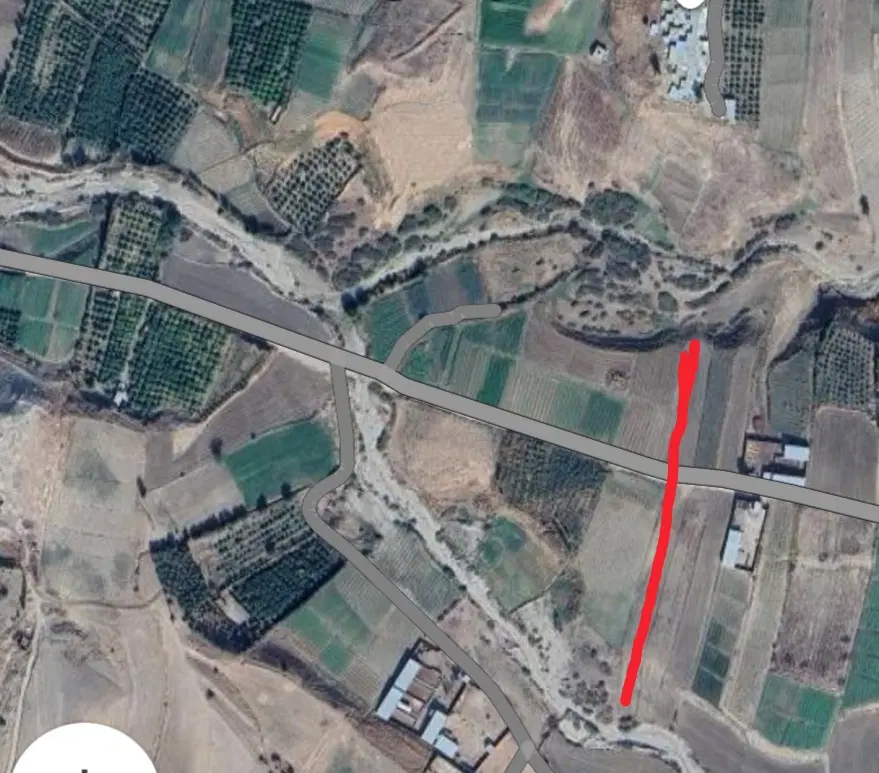 زمین کشاورزی مورانی.