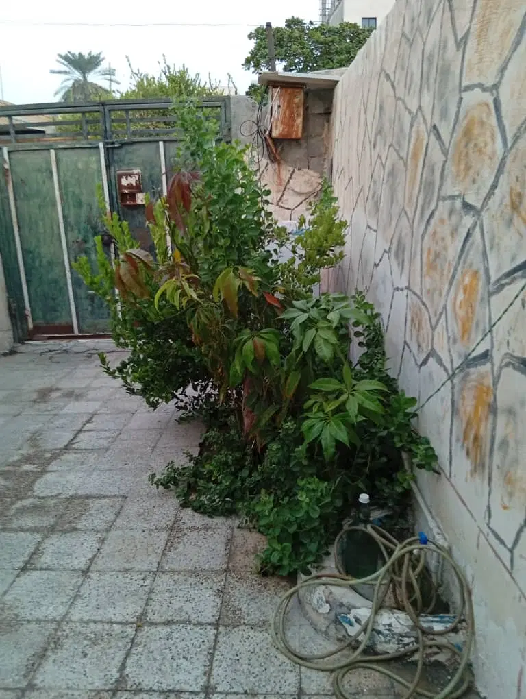 رهن و اجاره ۱۰۰ متری اسلام آباد