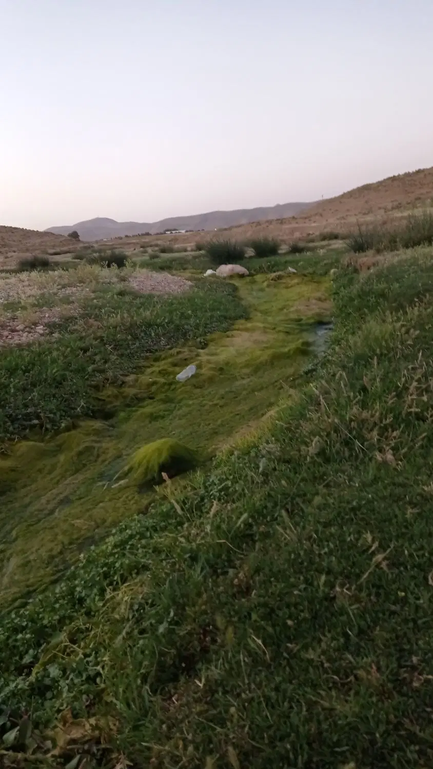 فروش زمین گلستان شمالی پیام نور