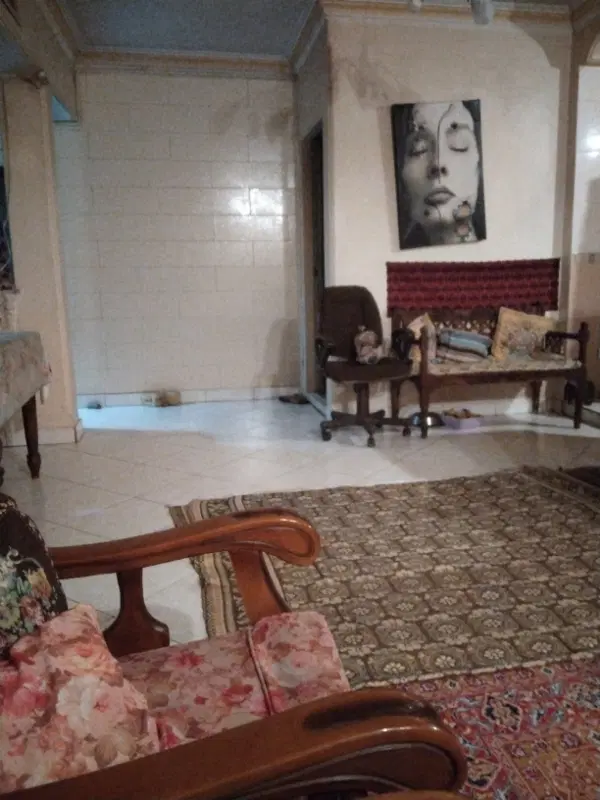 هم خانه