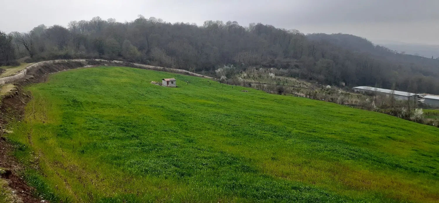 ۳۱هزار متر زمین واقع در روستای واسکس