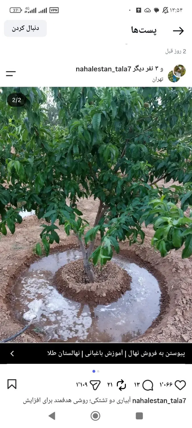 250متری حاشیه بلوار 68متری شاندیز خادر