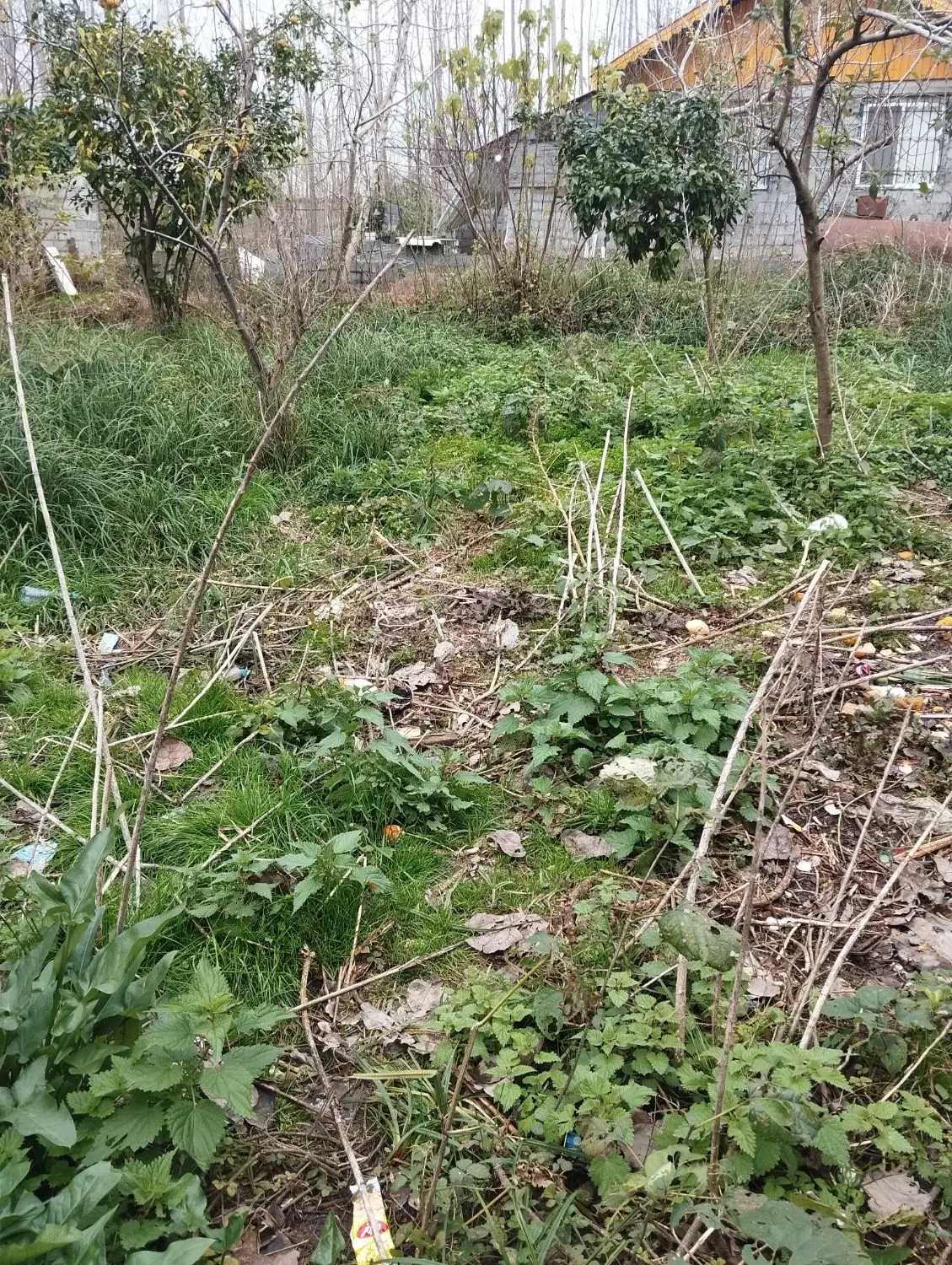 180متر تجاری مسکونی