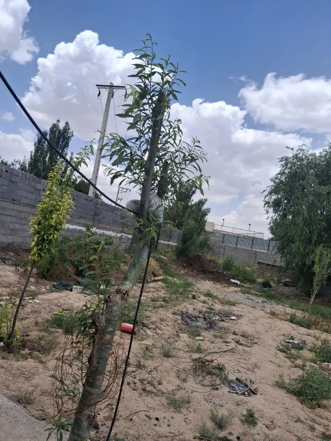 باغ ۲۵۰۰ متر
