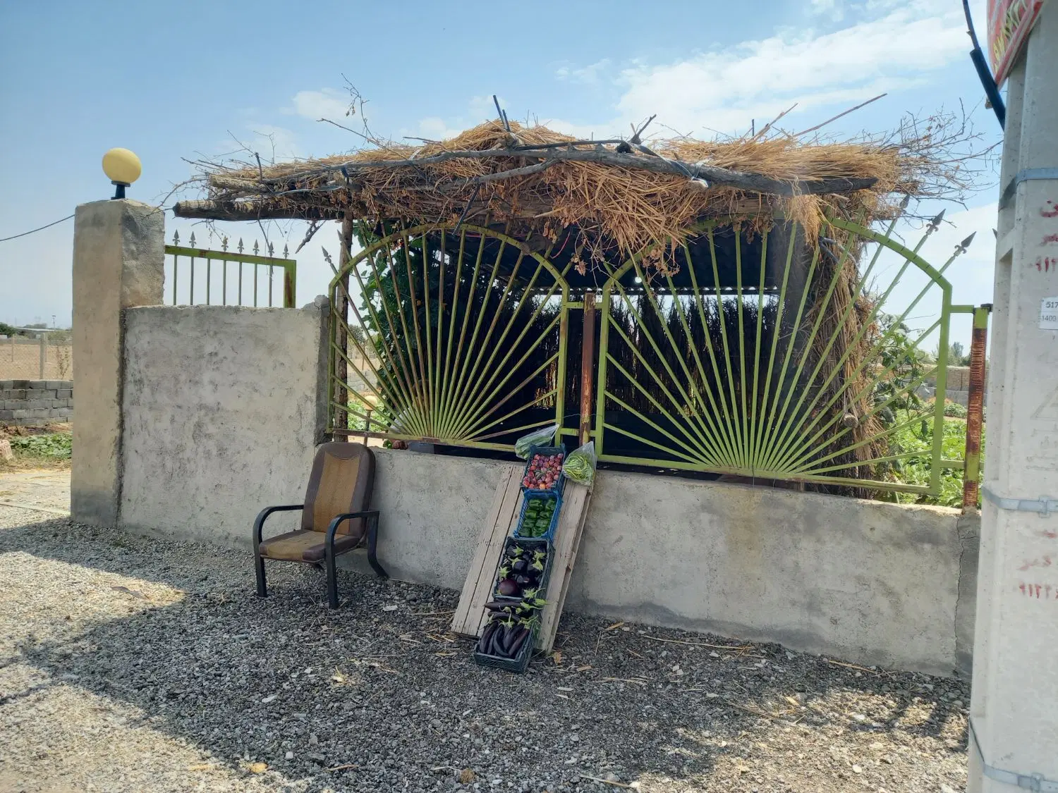 اجاره‌ی مزرعه سیفی‌جات