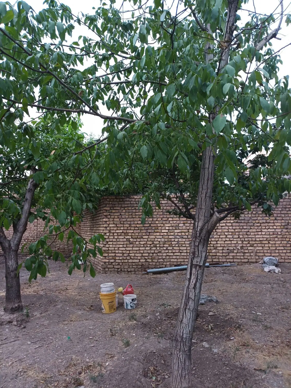 فروش زمین