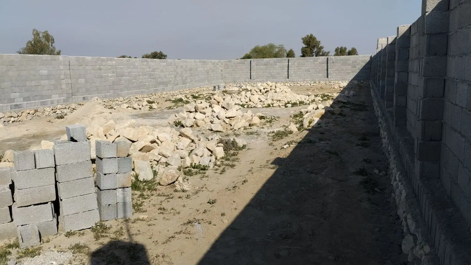 زمین کشاورزی