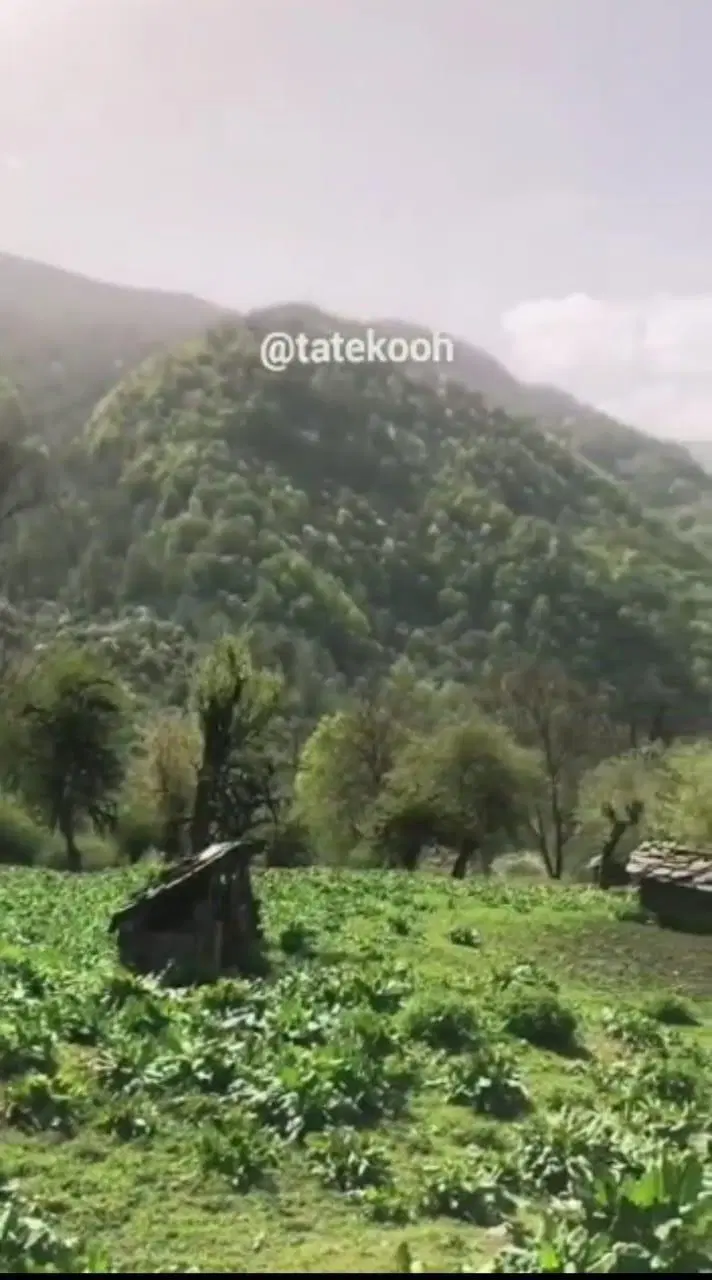 بابلکنار بندپی شرقی