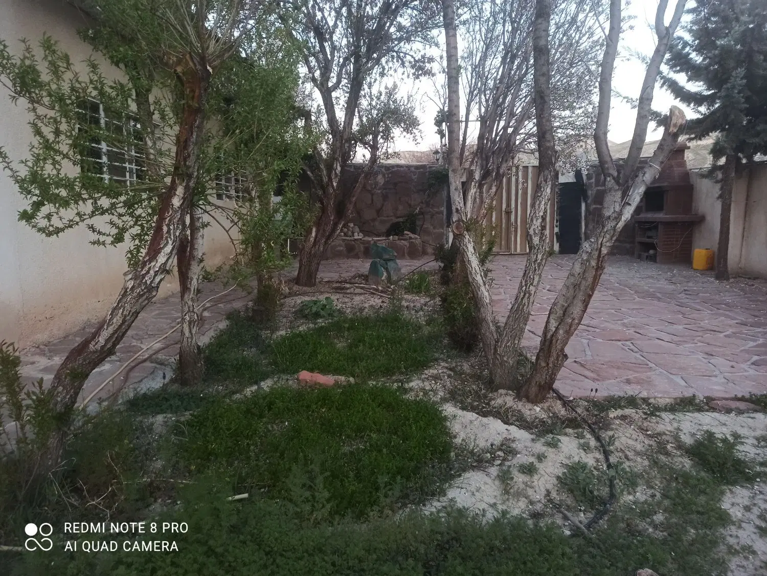 باغچه فروشی