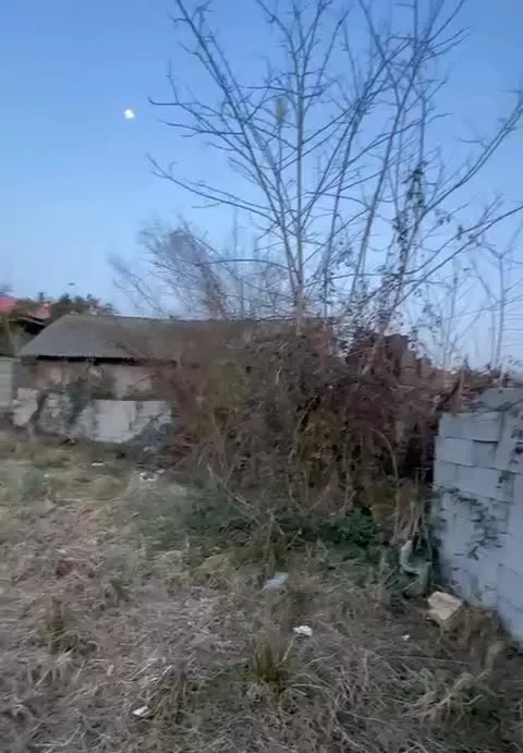 فروش زمین مناسب ساخت ویلا باغ