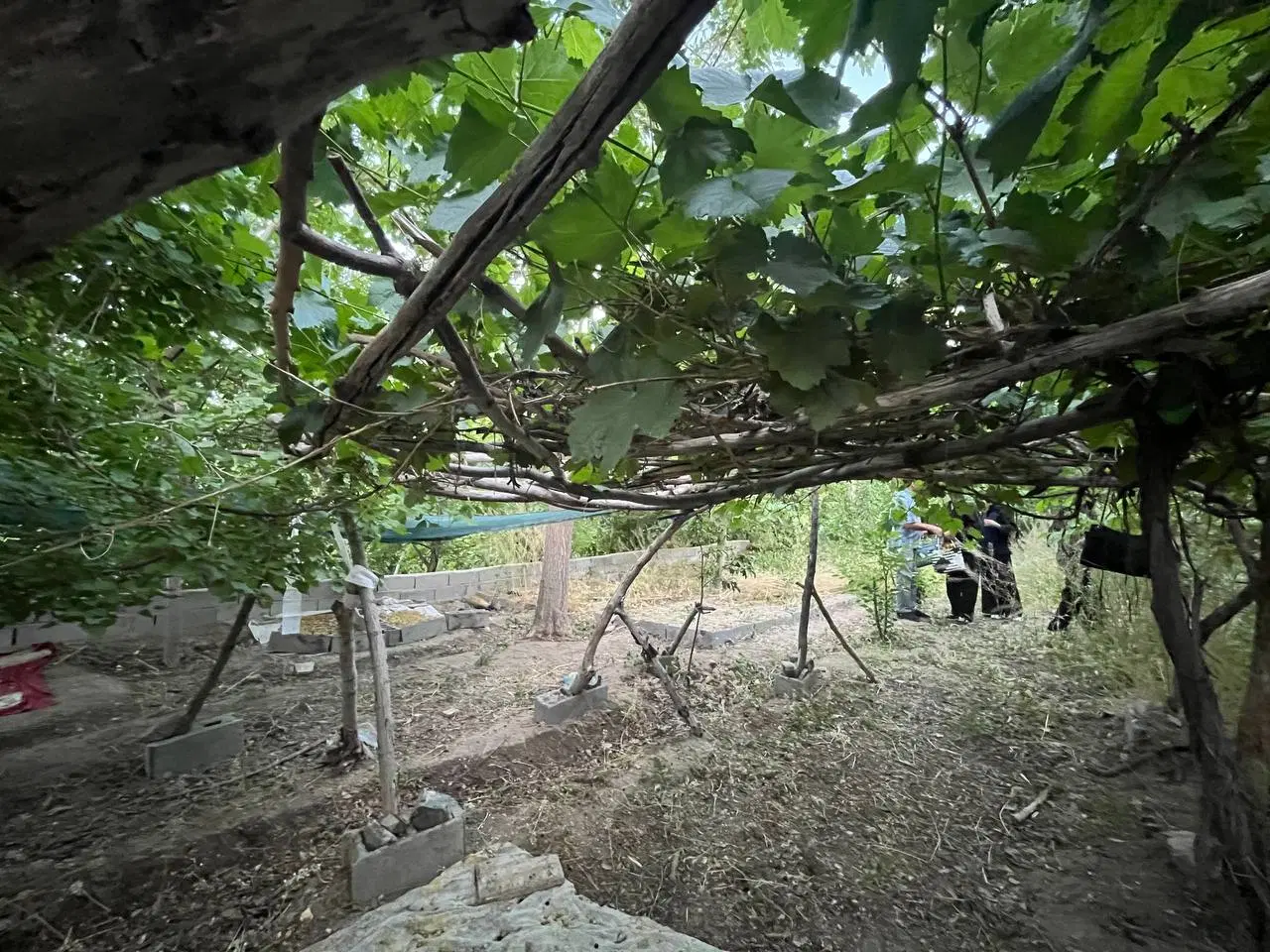 باغ دربهدان