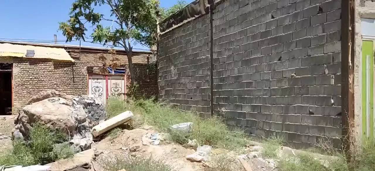 زمین اوینی