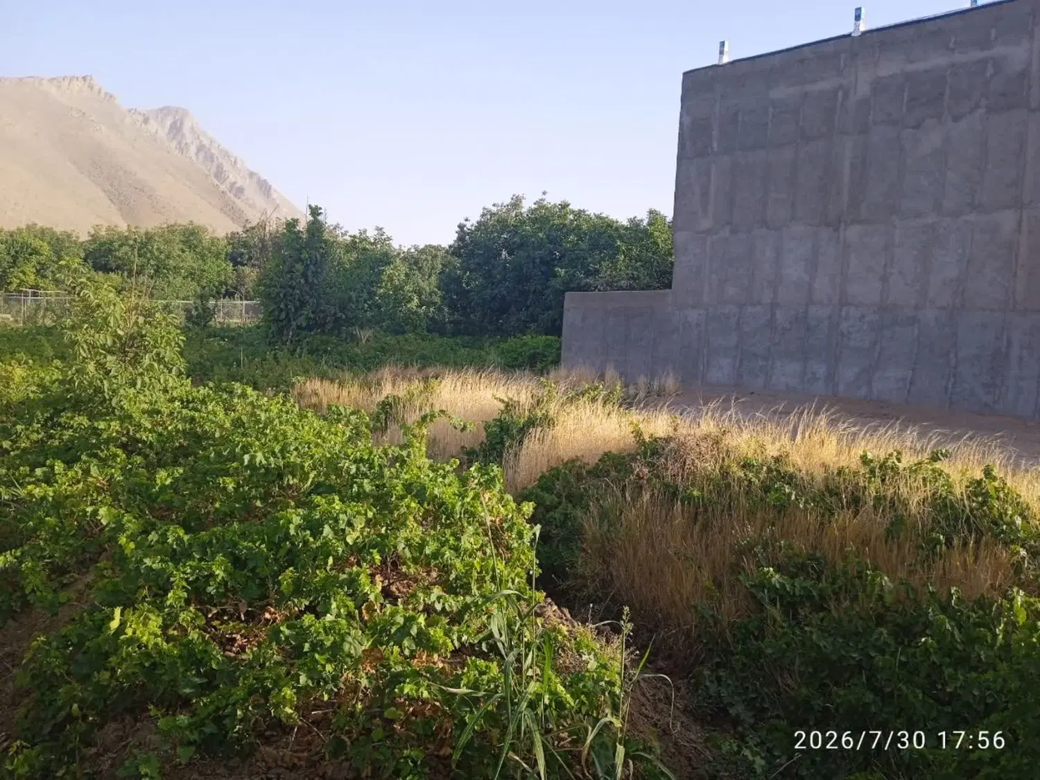 یک باب باغ زمین‌ فوری