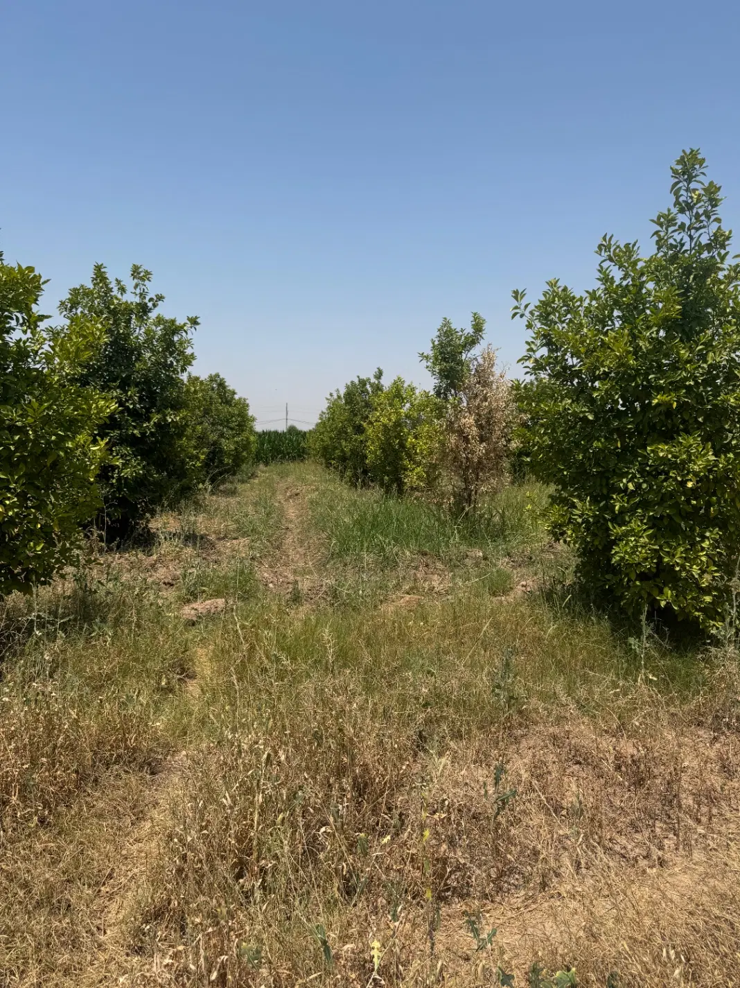 زمین جاده خوشبختی مناسب زندگی