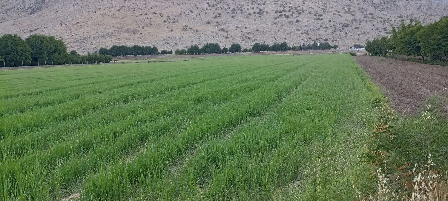 فروش زمین