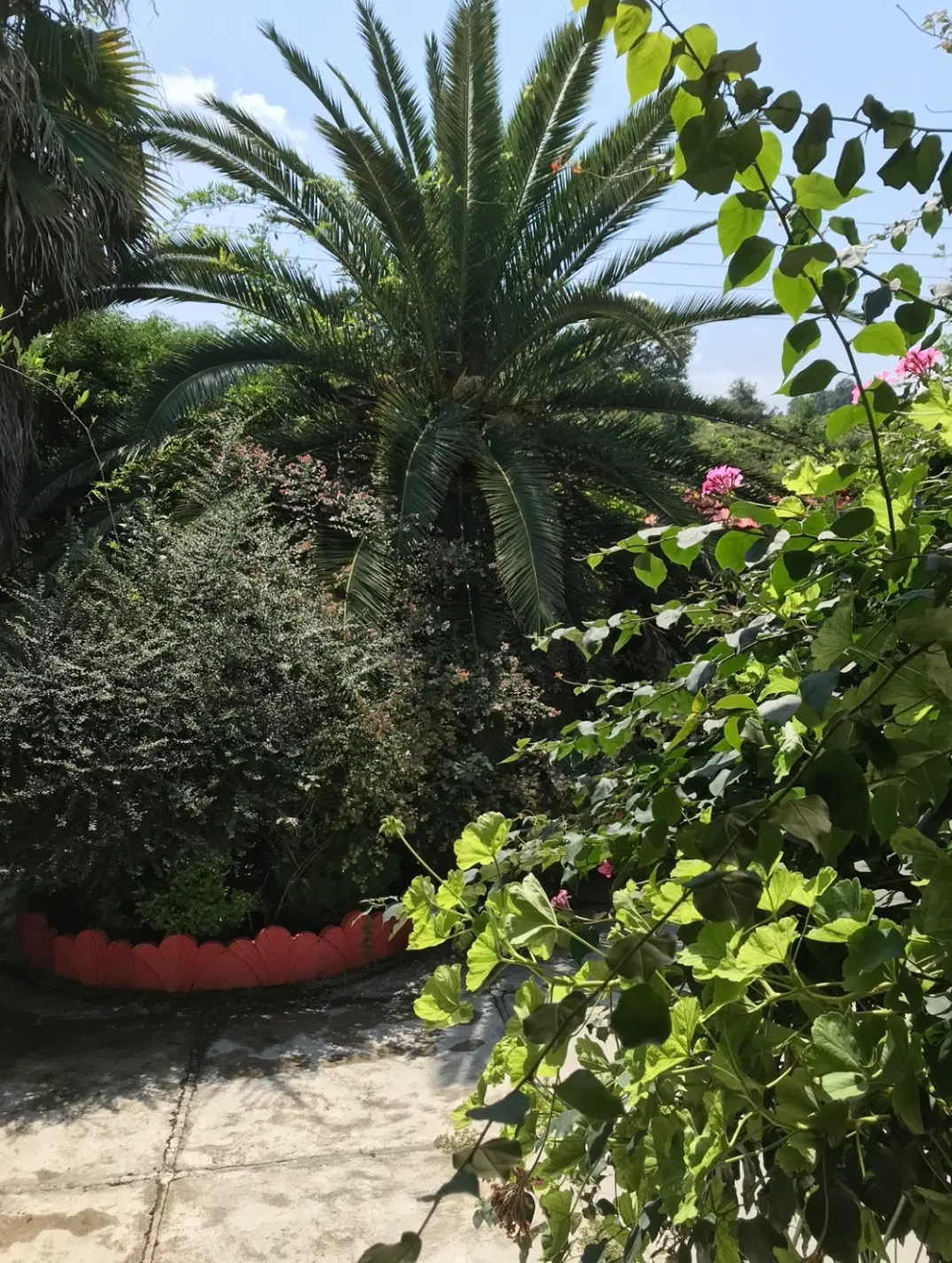 خانه ویلایی در چالوس