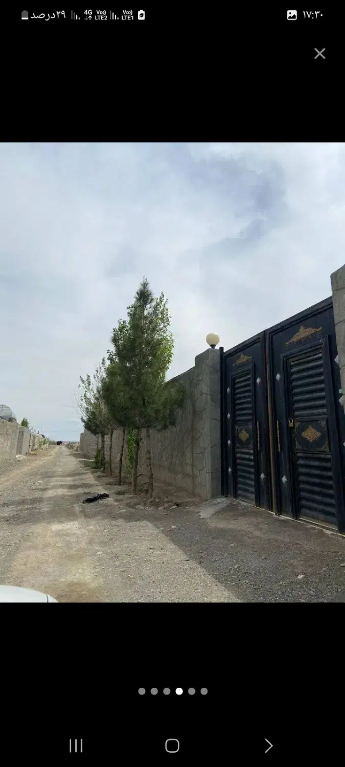 باغ فروشی کاهو