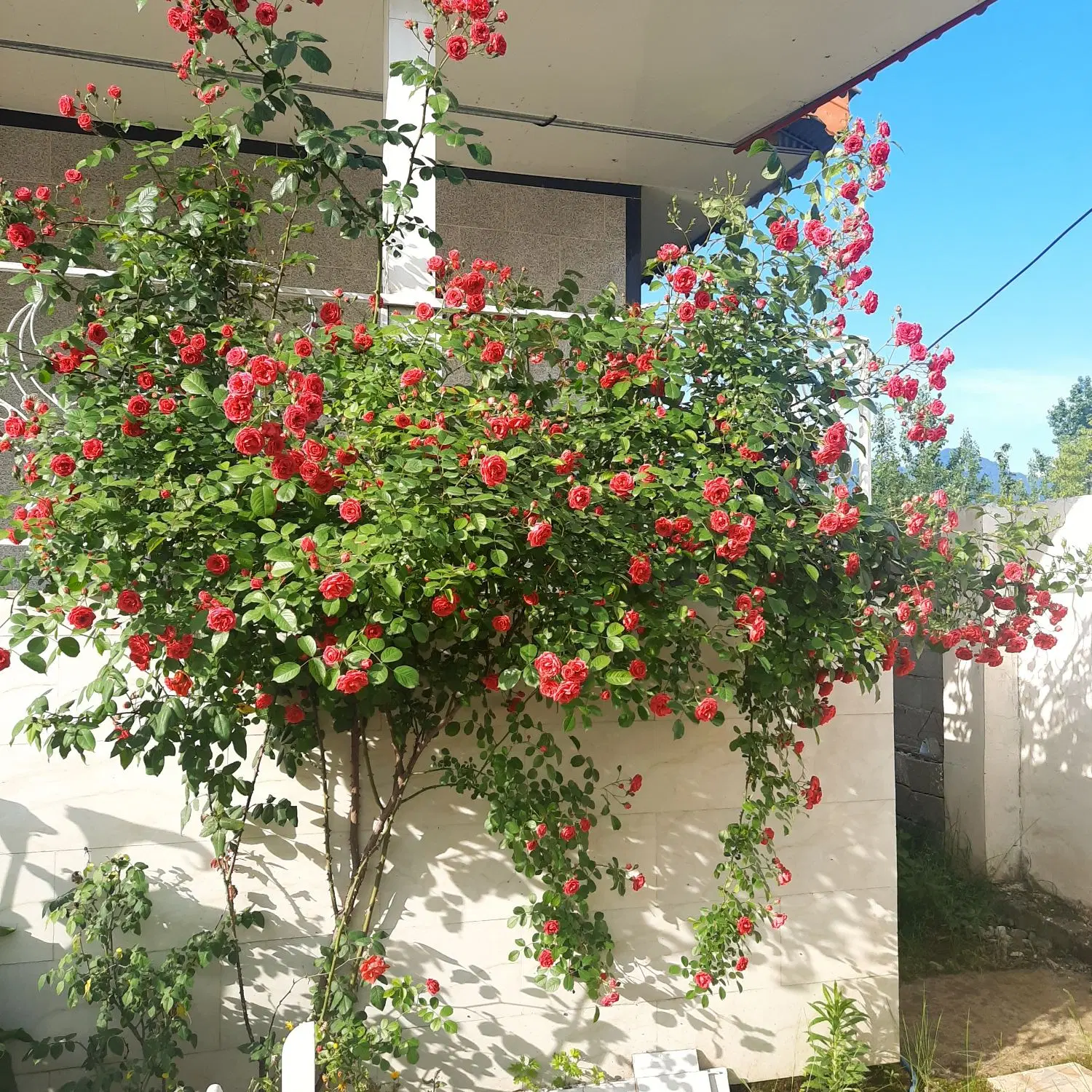 خانه ویلایی