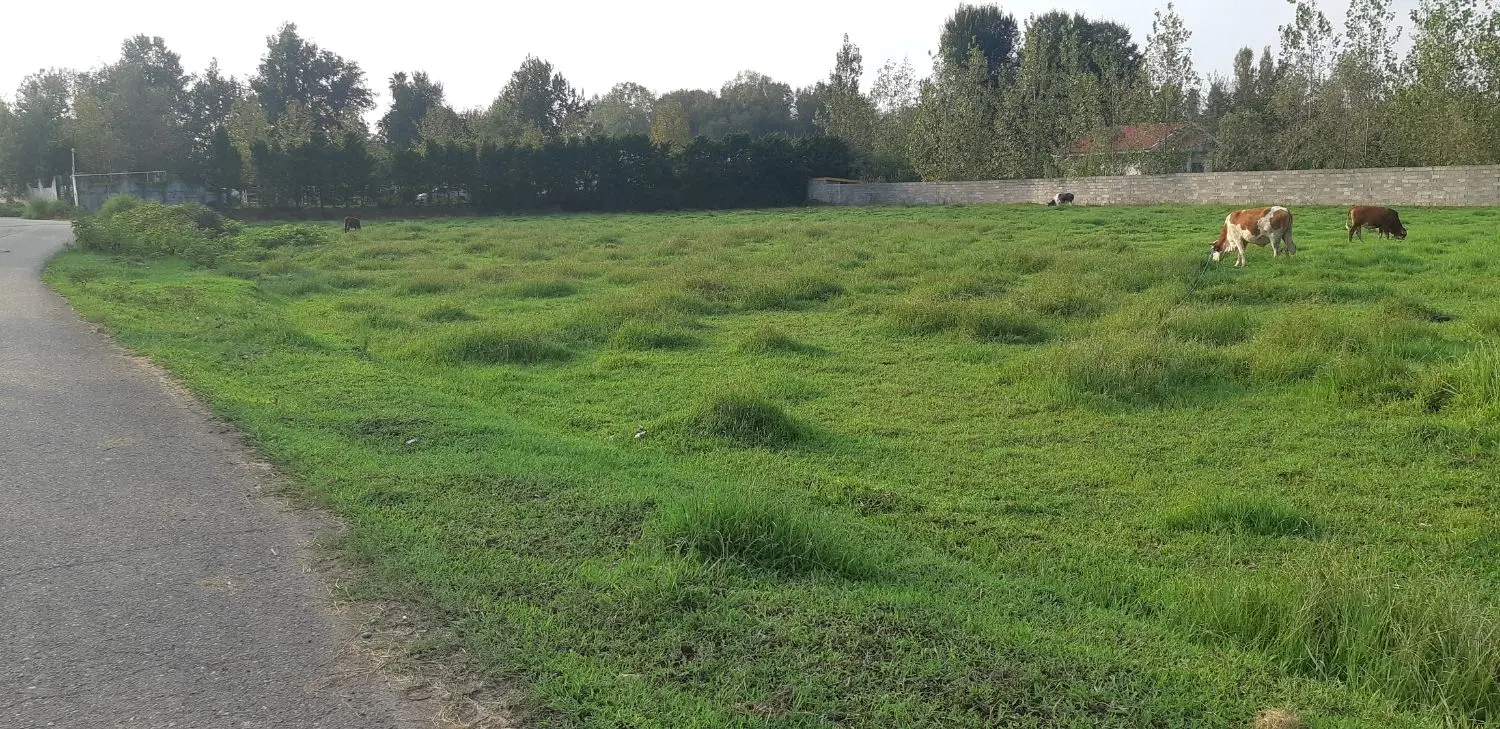 3520متر زمین با 72متر بحر قطعه بندی شده_آگهی شخصی_