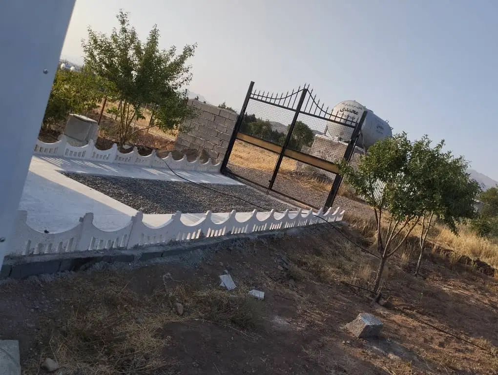 باغ بادام پسته پیوندی کورانه